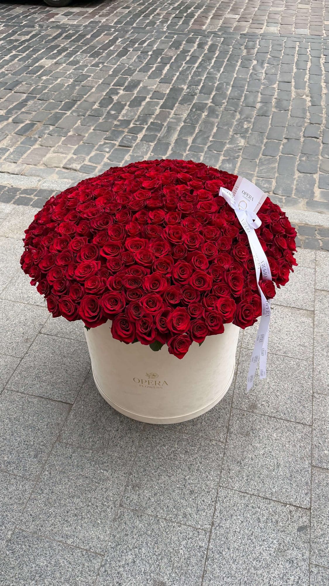 Opera Flowers - ранункулюс